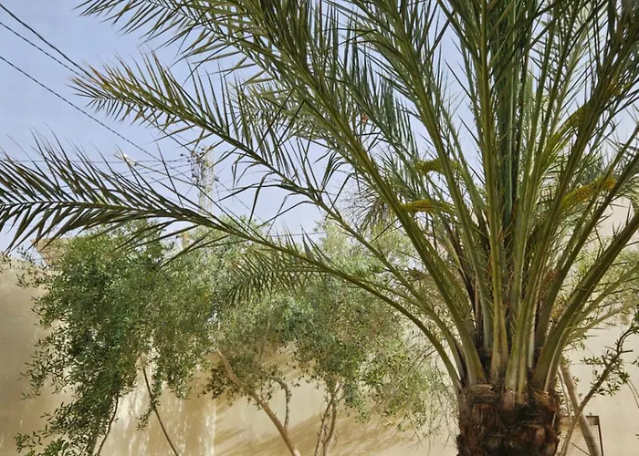Hadhri Appartement